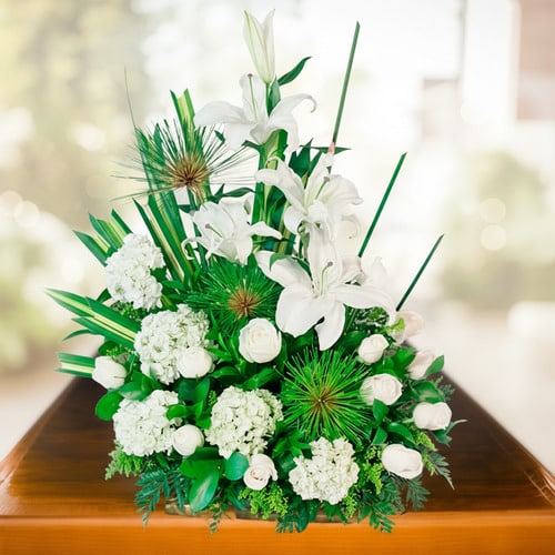 ayudame a generar variaciones de esta imagen en xqh0d 2