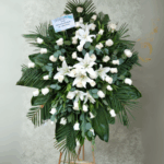 toma la imagen adjunta como base y genera 0dz7m3j 2