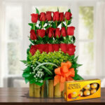 toma la imagen adjunta como base y genera cgtnrmzh 2