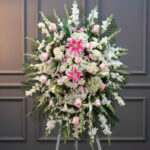 toma la imagen adjunta como base y genera hfzggq 2