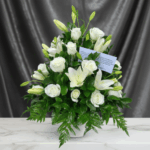 toma la imagen adjunta como base y genera k6is0kg3 2