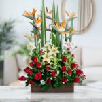 toma la imagen adjunta como base y genera qje1q536 2