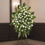 toma la imagen adjunta como base y genera y9j8 2