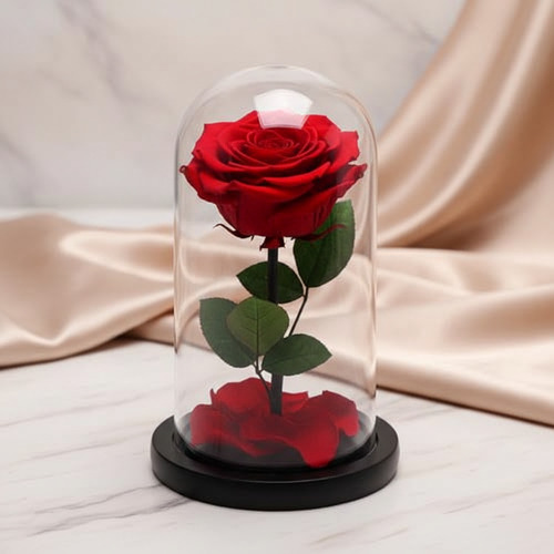 Preserved Rose