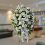 toma la imagen adjunta como base y genera yvttgf 2