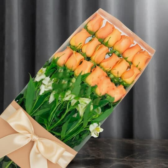 Caja de 18 rosas salmón frescas y vibrantes, presentadas en un elegante empaque con lazo, ideal para regalar en cualquier oca