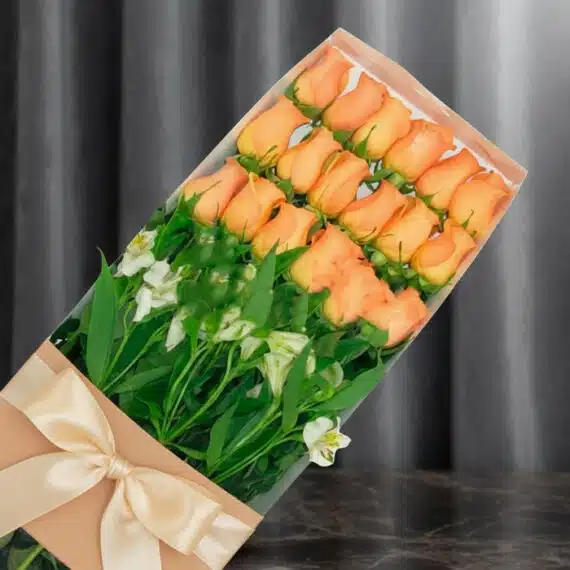 Caja de 18 rosas salmón frescas y vibrantes, presentadas en un elegante empaque con lazo, ideal para regalar en cualquier oca
