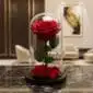 Rosa preservada roja en cúpula de cristal sobre una mesa de mármol negro, con un fondo elegante de lobby de hotel boutique.